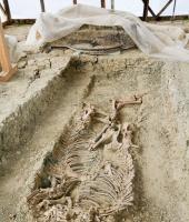  Ταφικός τύμβος Μικρής Δοξιπάρας - Ζώνης.