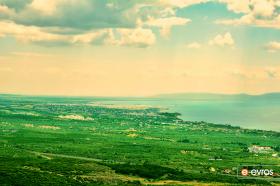 "As you look from above high...the city look like a painting".