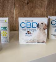 CBDOIL SHOP: Άνοιξε το πρώτο κατάστημα στην Αλεξ/πολη με προϊόντα από λάδι κάνναβης!