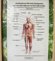 CBDOIL SHOP: Άνοιξε το πρώτο κατάστημα στην Αλεξ/πολη με προϊόντα από λάδι κάνναβης!