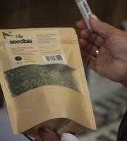 CBDOIL SHOP: Άνοιξε το πρώτο κατάστημα στην Αλεξ/πολη με προϊόντα από λάδι κάνναβης!