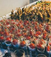 Φωτορεπορτάζ από τα εγκαίνια του Alta Moda, στην Αλεξανδρούπολη