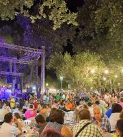 Το γλεντήσαμε με τους αδερφούς Διονυσίου στη Γιορτή Κρασιού 2015.