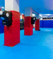 Μεικτές Μαχητικές Τέχνες