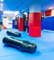 Μεικτές Μαχητικές Τέχνες