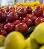 Ωποροπαντοπωλείο