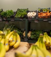 Ωποροπαντοπωλείο