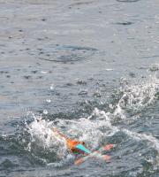 Με λαμπρότητα ο εορτασμός των Θεοφανίων σε όλο τον Έβρο (φωτογραφίες & video)