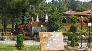Πρόσληψη 3 ατόμων από το Φορέα Διαχείρισης του Δάσους Δαδιάς.