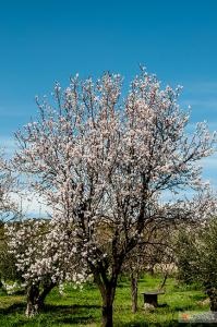 Somewhere in the spring fields of our Evros.