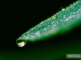 Η λεπτομέρεια που κάνει την διαφορά στο δασάκι της Αισύμης!