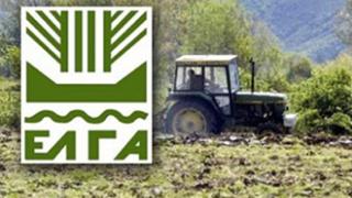 Έβρος: Καταβάλλονται αποζημιώσεις ύψους 134.118, 57 ευρώ σε αγρότες.