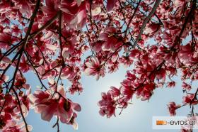 Ahhh...finally, it's been slow to come but came!