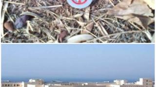 Η απάντηση των αρμοδίων σχετικά με το θέμα της οικογένειας, από τον Απαλό που ήρθε σε επαφη με τα αντιλυσσικά δολώματα