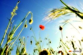 Πιάσαμε τον Μάη με ιδανικό καιρό!