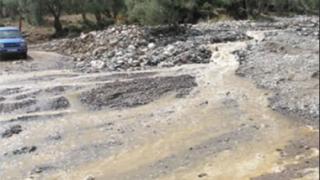 'Το δασικό οικοσύστημα της Σαμοθράκης καταρρέει.'