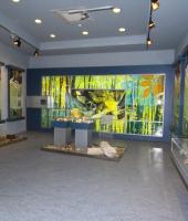 Μουσείο Φυσικής Ιστορίας στην Αλεξανδρούπολη