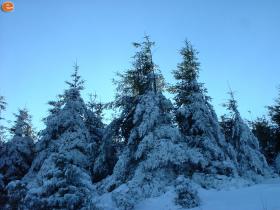Στην τοποθεσία "Πλάκα" με χιόνια.