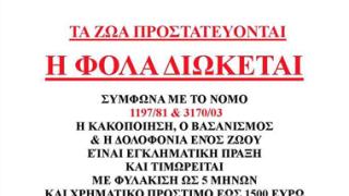 Ανακοίνωση του Φιλοζωικού Σωματείου 'Κιβωτός' για τις 'επιθέσεις' αδέσποτων σε πολίτες.