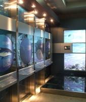 Μουσείο Φυσικής Ιστορίας στην Αλεξανδρούπολη