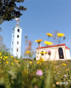 "Τα χρώματα της άνοιξης ζωντανεύουν το τοπίο"