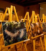 "Εικόνες από Μετάξι": Εγκαίνια της έκθεσης φωτογραφίας στο Μουσείο Μετάξης