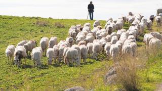 Σε κινητοποιήσεις θα προχωρήσουν οι κτηνοτρόφοι - αγρότες της Β. Ελλάδος.