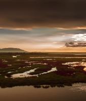 Δέλτα του Ποταμού Έβρου