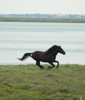 Let’s take a ride to the river Evros Delta