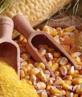 Συνεταιρισμός Γυναικών Σαμοθράκης 