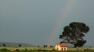 Καθαρισμός οικοπέδων & λοιπών ακάλυπτων χώρων ενόψει της αντιπυρικής περιόδου