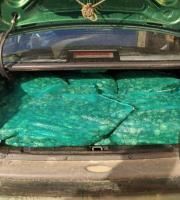 Συλλήψεις για λαθρεμπορία ποσότητας δίθυρων μαλακίων (οστράκων) με σκοπό την πώληση - εμπορία τους στην Αλεξανδρούπολη