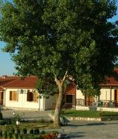 Στο οικοτουριστικό κέντρο της Δαδιάς