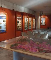 Το κέντρο πληροφόρησης του Δάσους της Δαδιάς