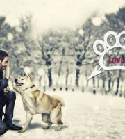 Show your love  - Αφιέρωμα στην αγάπη για τα κατοικίδιά μας