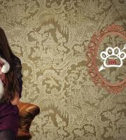 Show your love  - Αφιέρωμα στην αγάπη για τα κατοικίδιά μας