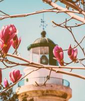 Με φόντο... την άνοιξη, στο φάρο της Αλεξανδρούπολης.