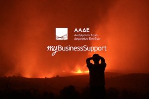 Έβρος: Άνοιξε το myBusinessSupport για τις επιχειρήσεις που επλήγησαν από τις πυρκαγιές