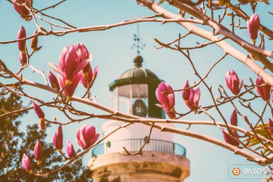 Dedeağaç Fenerin Tarihi