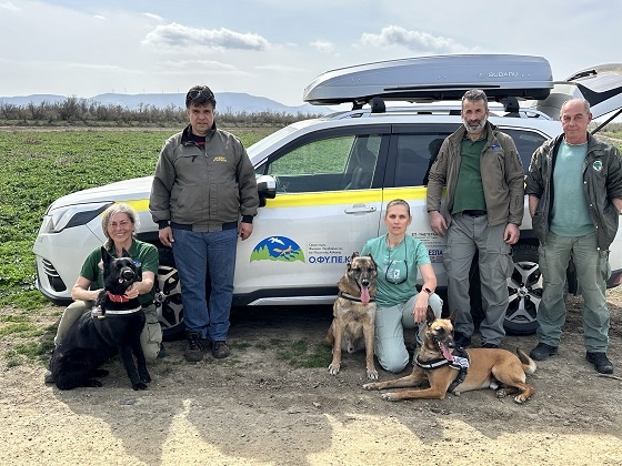 Δεκάδες νεκρά ζώα από δηλητηριασμένα δολώματα βρέθηκαν στο Δέλτα του Έβρου.