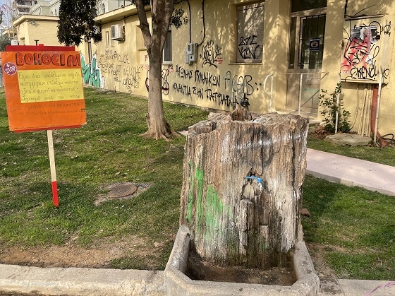 Προσπάθεια των μικρών μαθητών, να προστατευτεί ο απολιθωμένος κορμός στην Αλεξανδρούπολη.