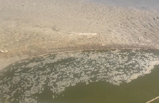 Απαγόρευση ποτίσματος χωρίς προηγούμενη άδεια στην περιοχή Φερών - Πέπλου.