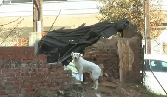 Μεγάλο πρόβλημα αντιμετωπίζουν οι κάτοικοι της περιοχής του παλιού κολυμβητηρίου.