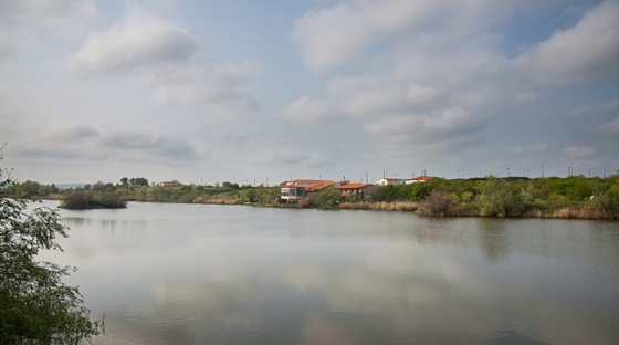 Ο δράστης δεν παρευρέθηκε στη δίκη του.