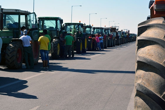 Ξεκινούν τις κινητοποιήσεις τους οι αγρότες και κτηνοτρόφοι του Έβρου.