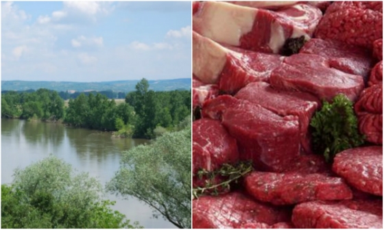 Συνελήφθησαν 3 Εβρίτες για λαθρεμπόριο βόειου κρέατος