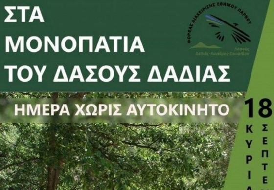 «Ημέρα χωρίς Αυτοκίνητο» με πεζοπορία στο Δάσος Δαδιάς