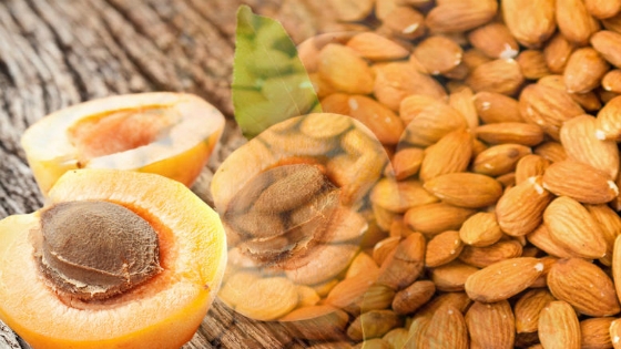 ΕΦΕΤ: Προσοχή στην κατανάλωση πικρών πυρήνων βερίκοκου και πικραμύγδαλων