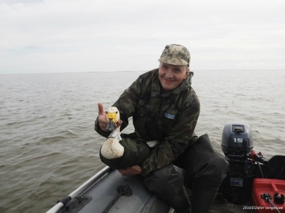 1 Δεκεμβρίου έφτασε ο νανόκυκνος στο Δέλτα του Έβρου