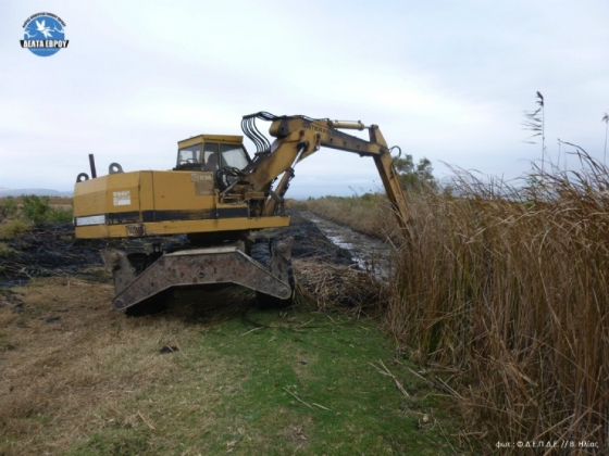 Πόρος Έβρου: Το Δέλτα του Έβρου βελτιώνεται για να υποδεχτεί τους Πελαργούς 
